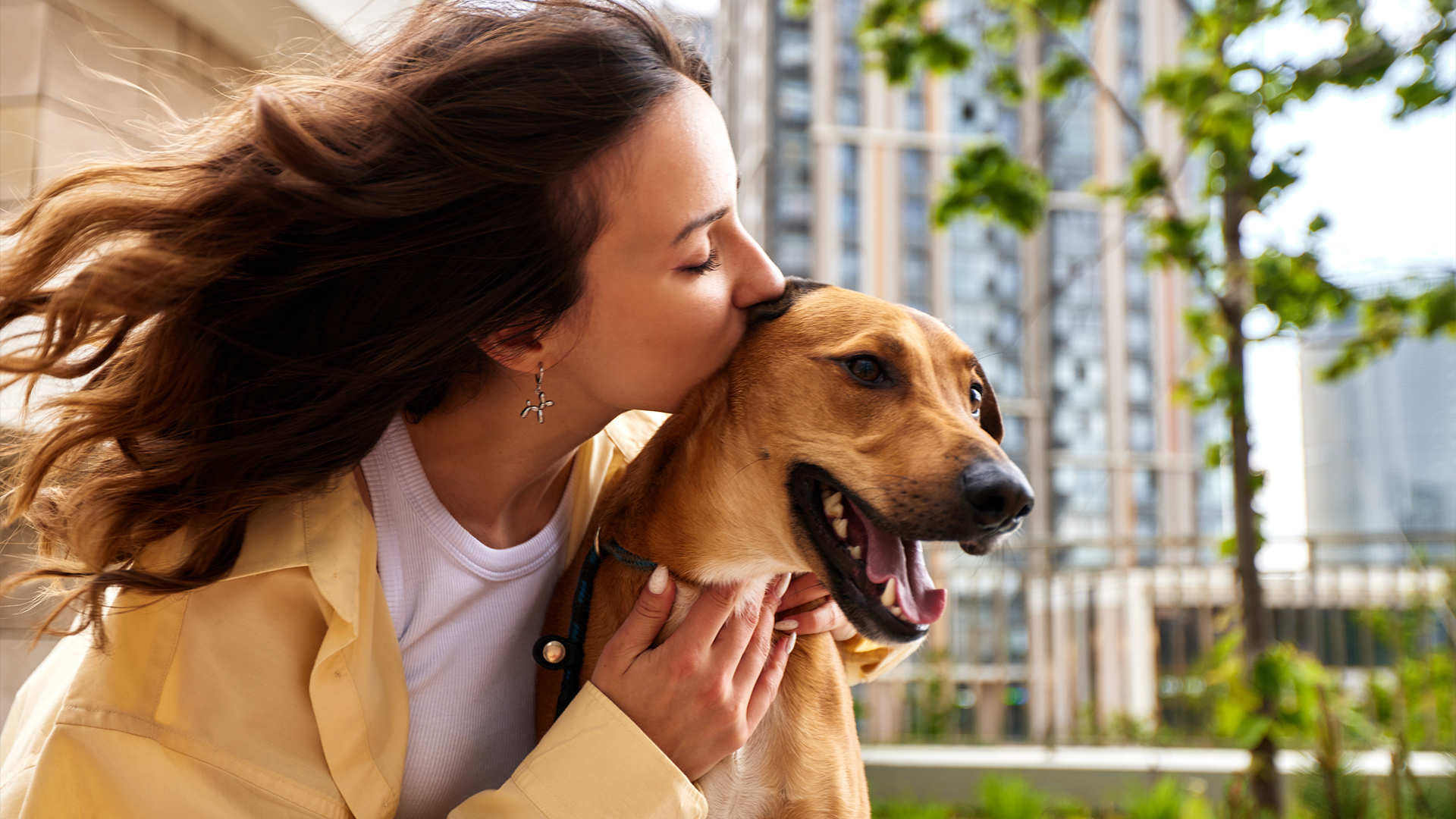 dog-interactive-toys