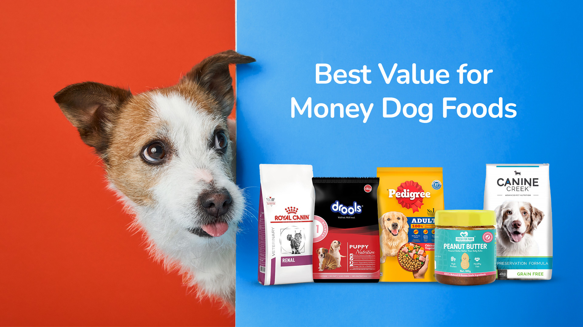 affordable-dog-food-brands