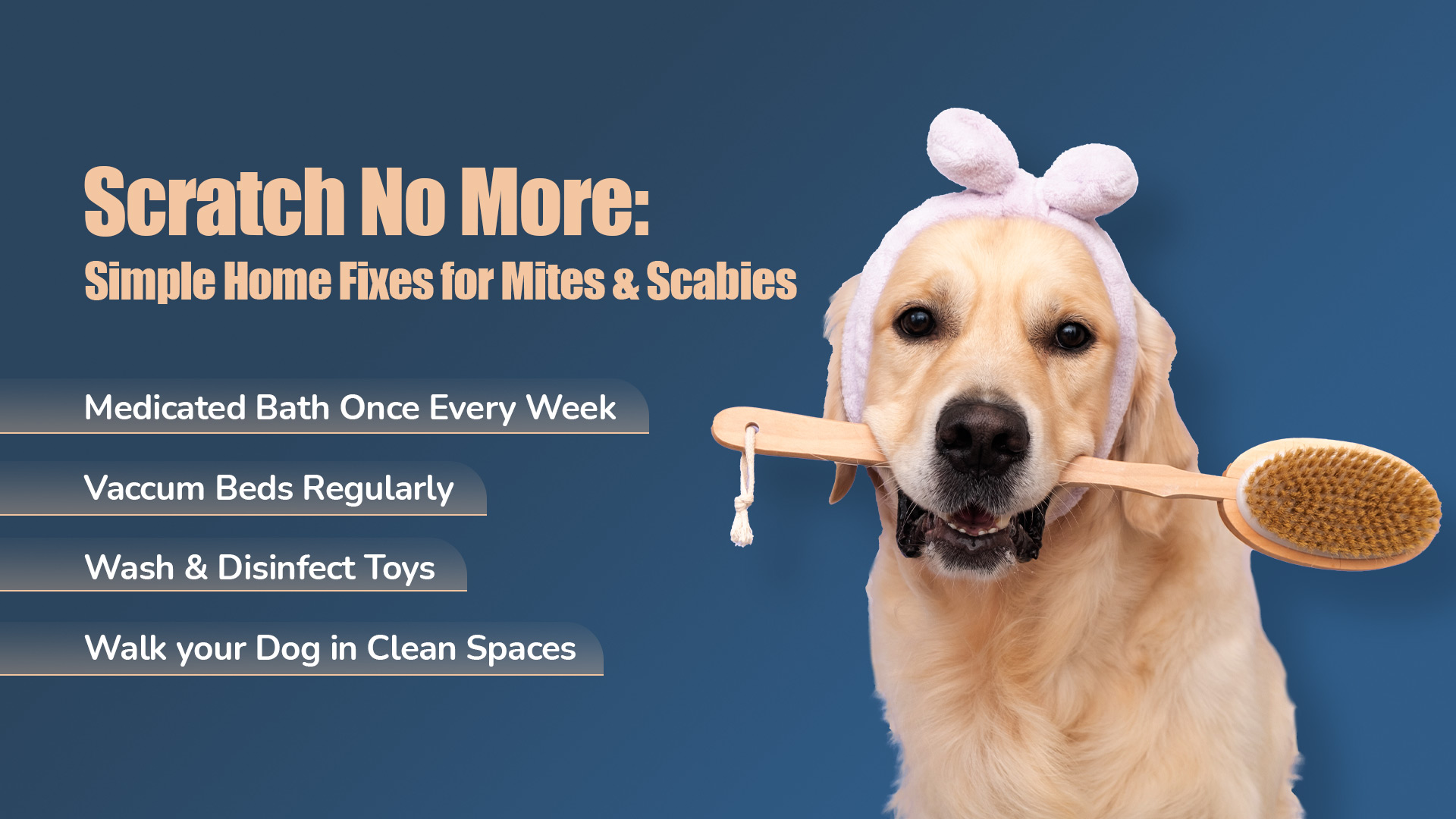 aftercare-tips-ear-mites-and-scabies-dogs