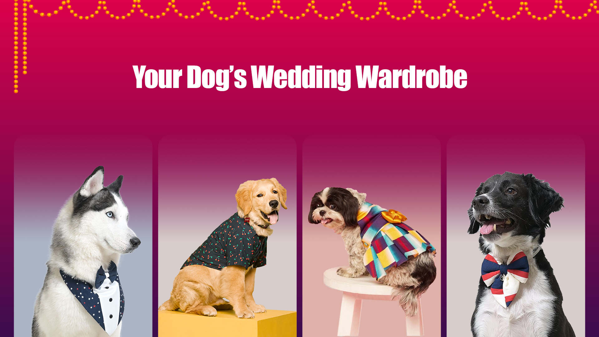 dog-wedding-dresses