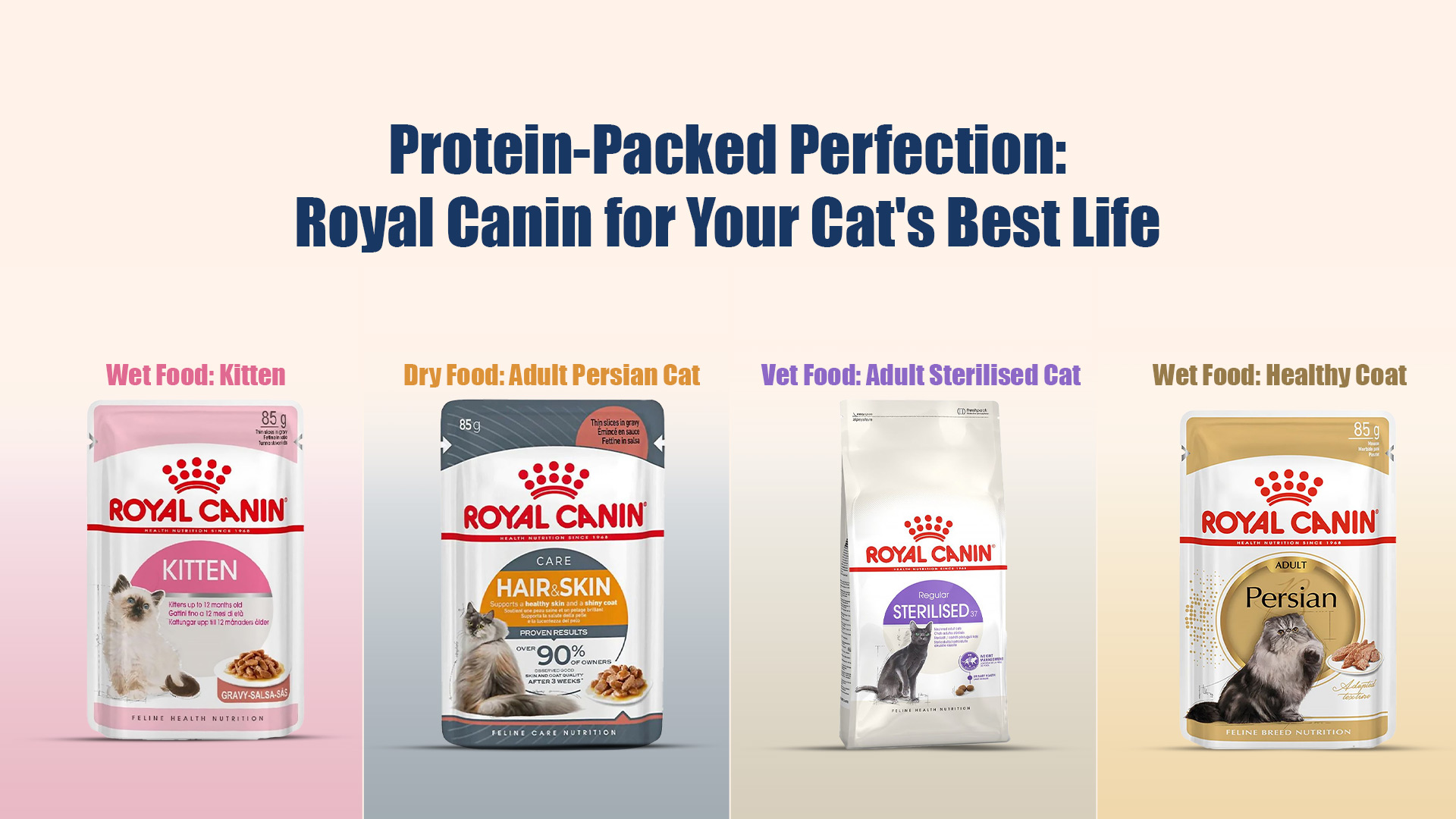 royal-canin-protein-cat-food-zigly