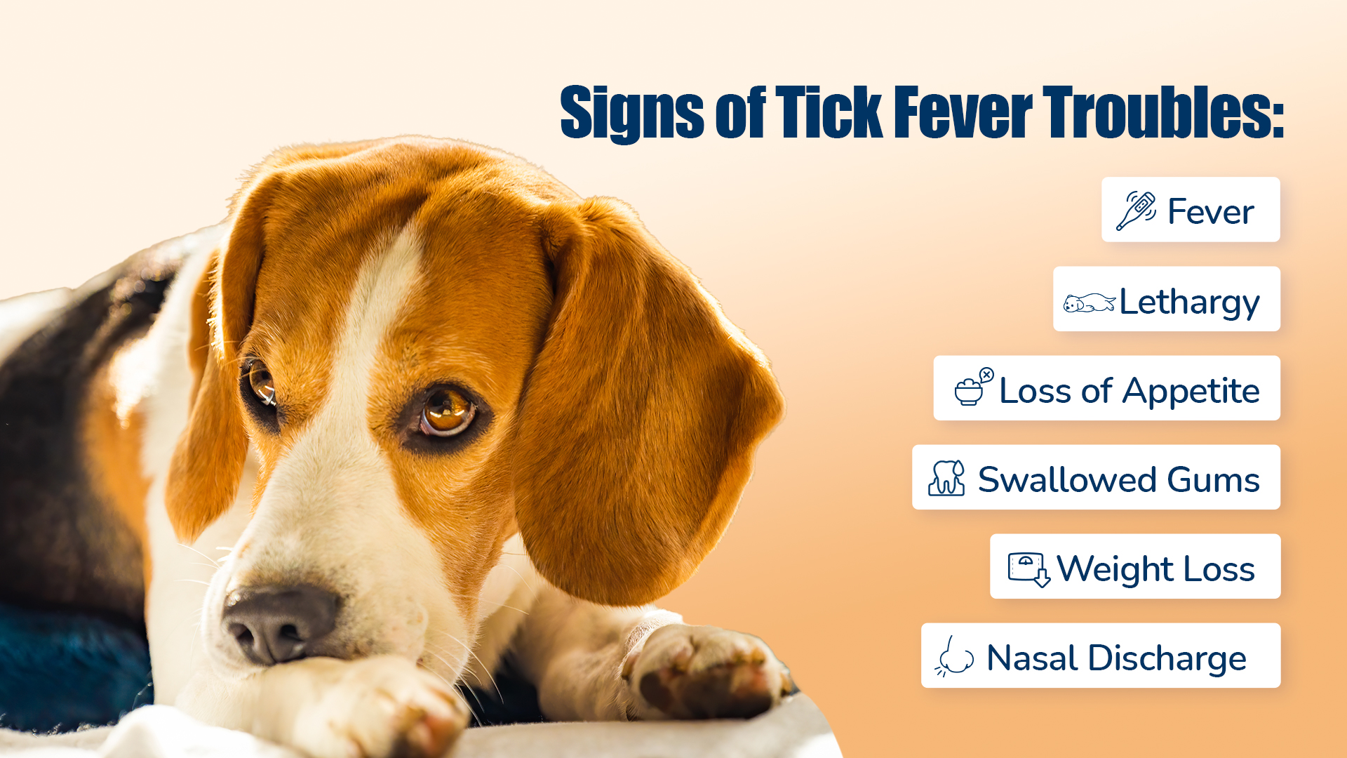 tick_fever_symptoms