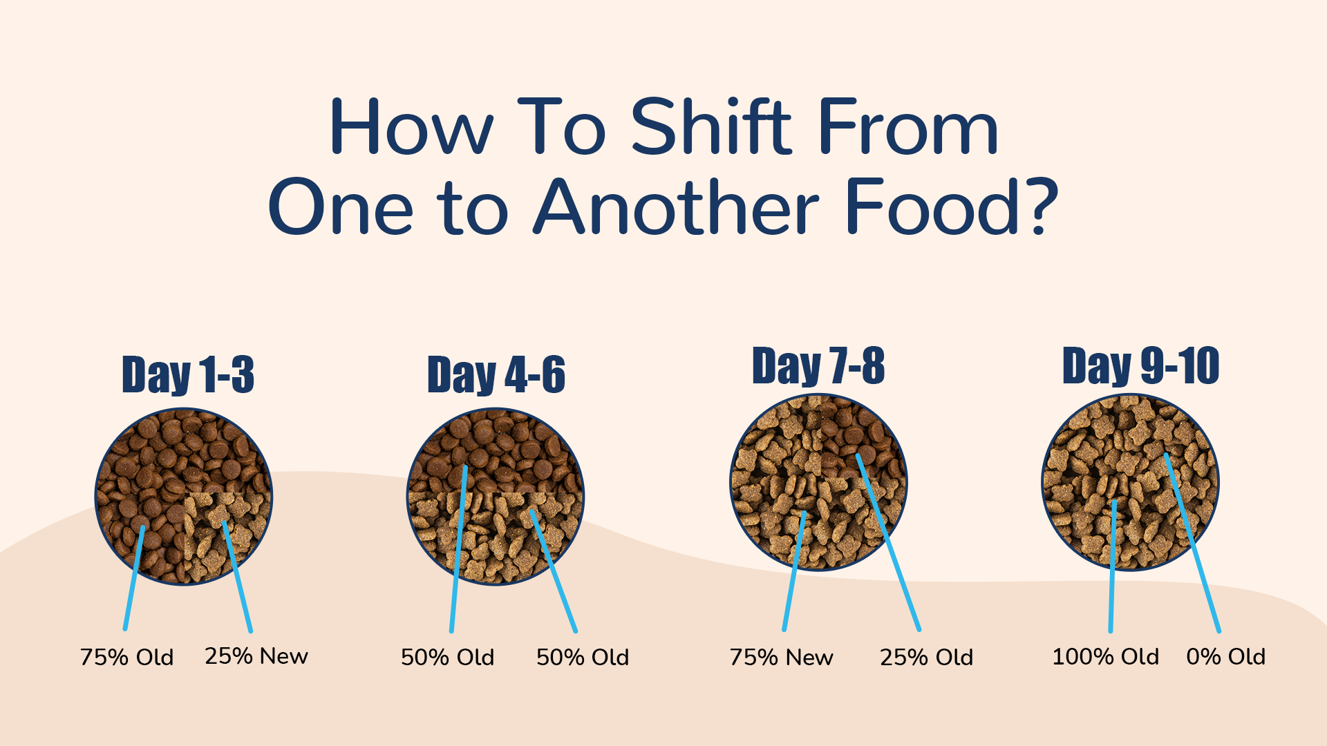 transition-food