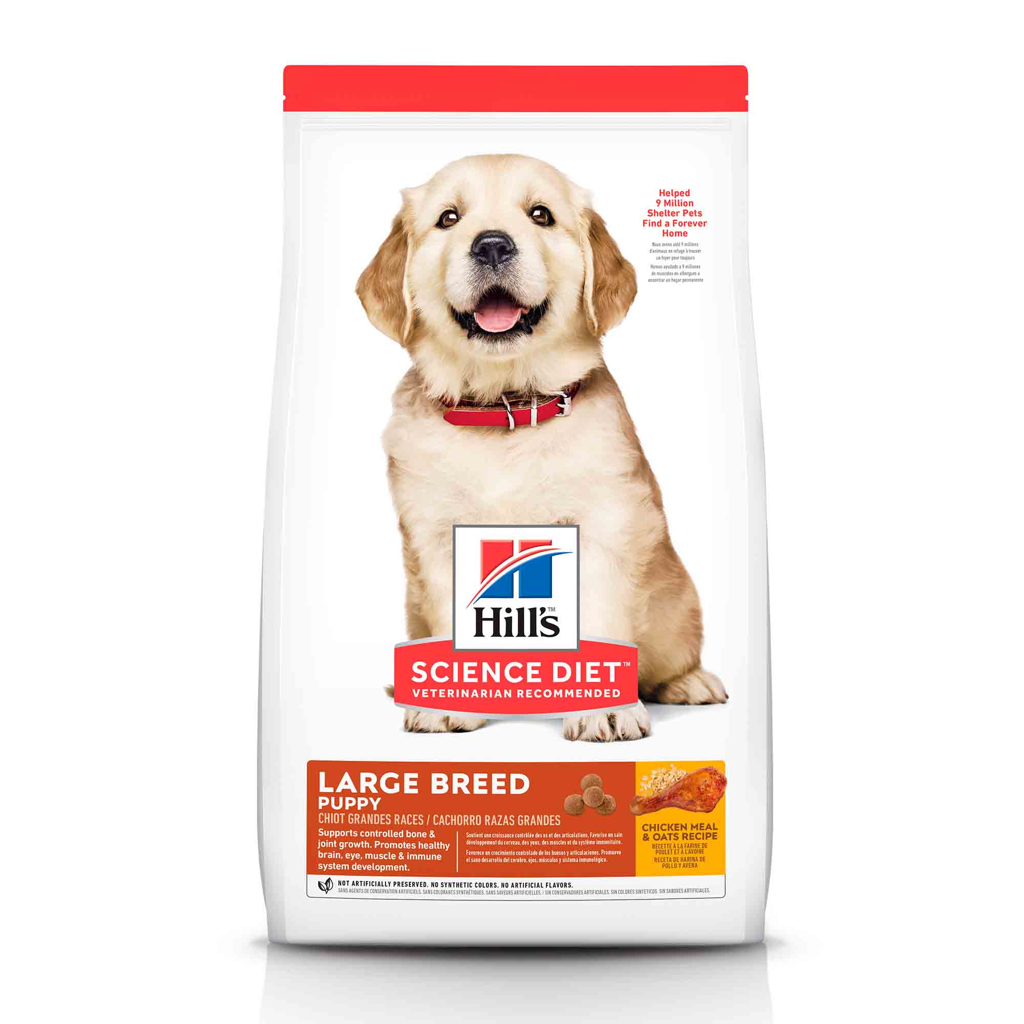 Hill's Science Diet Large Breed Puppy Dry Food - Chicken - 4 kg