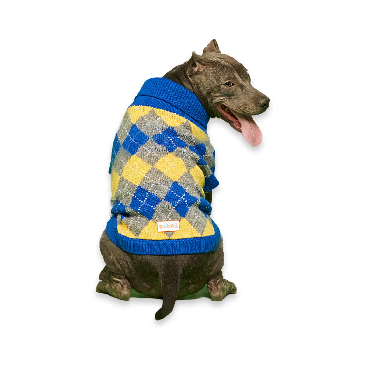 beboji Argyle Blue Sweater for Dogs - M