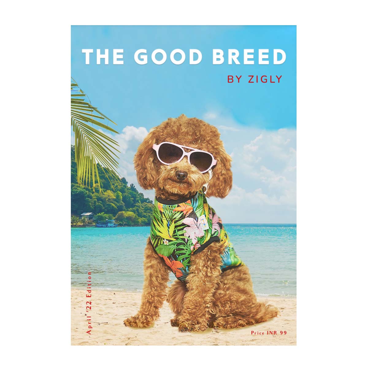 The Good Breed Magazine by Zigly 1st Edition April'22