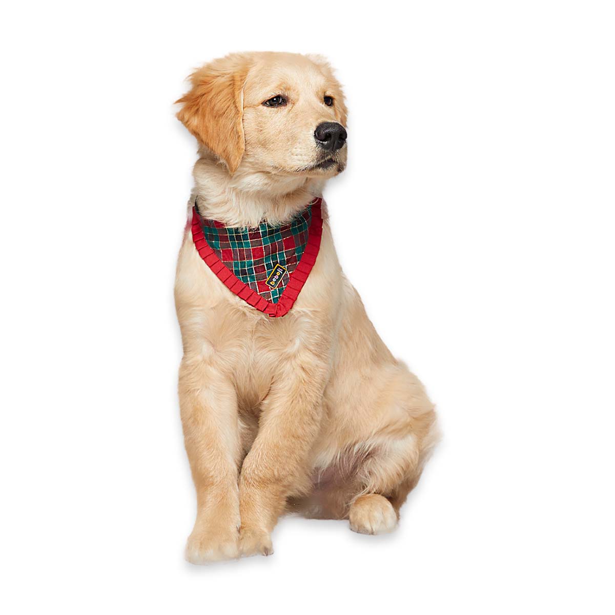 beboji Green Checks Bandana for Dogs