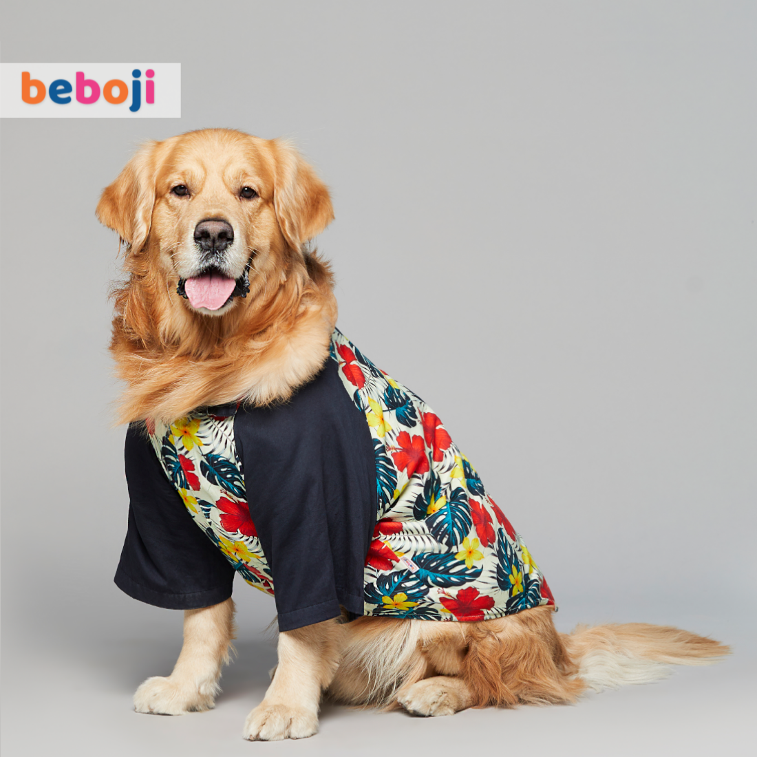 beboji Fern Fantasy Dog Shirt