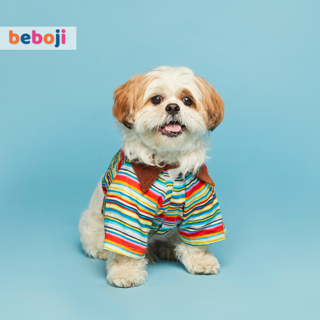 beboji Stripy Trippy Dog Shirt - L