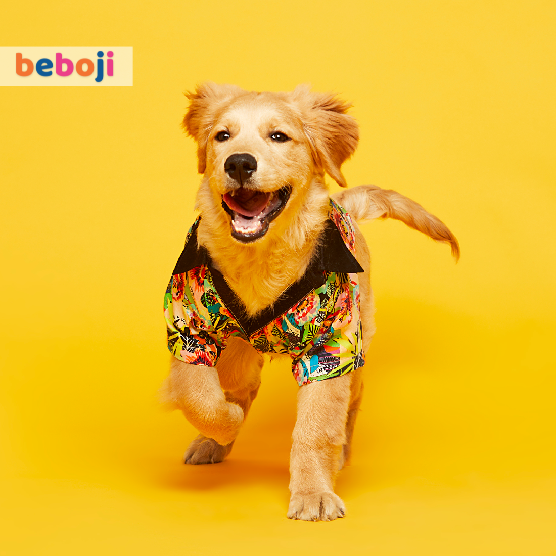 beboji Tropical Twist Dog Shirt - L