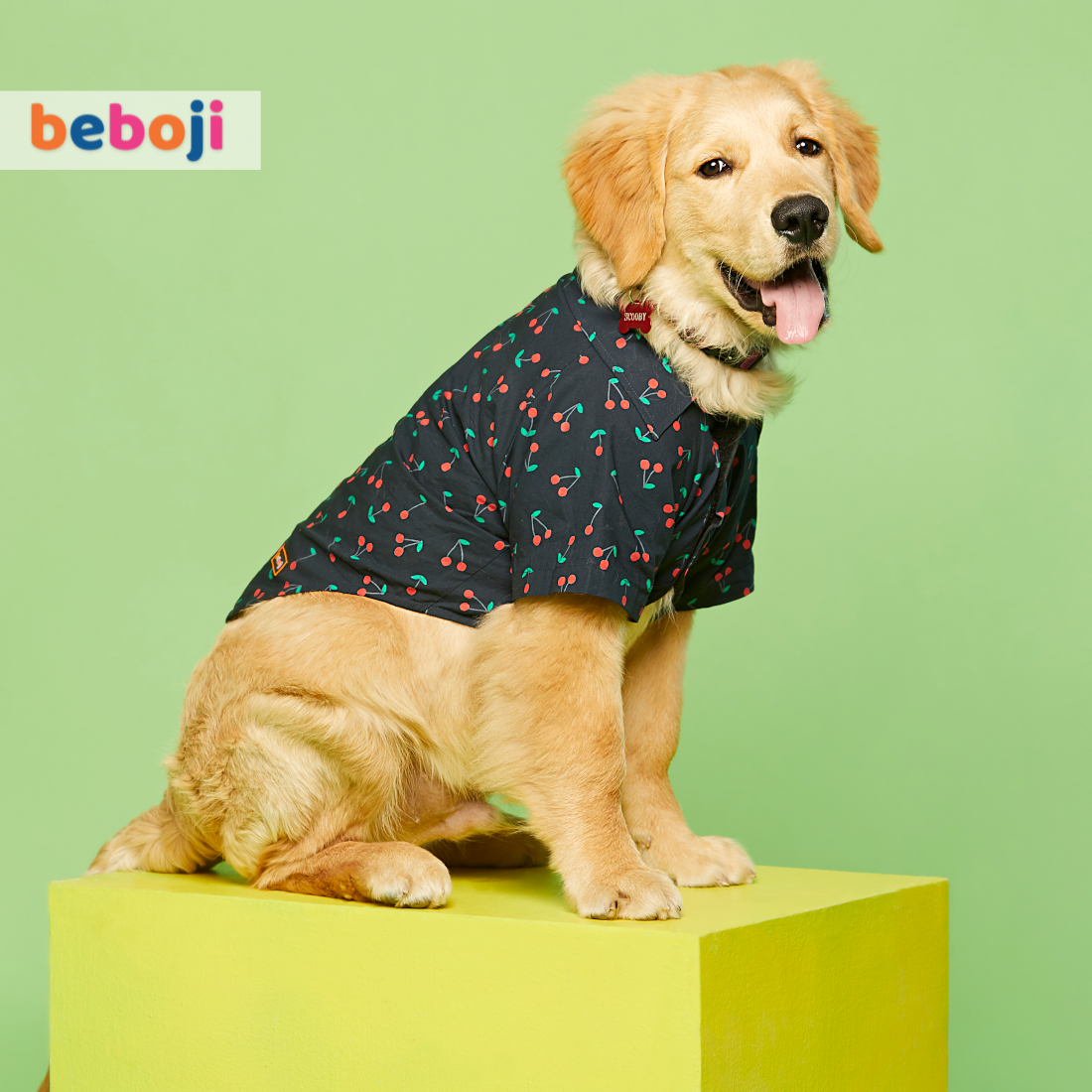 beboji Cherry Blossom Dog Shirt