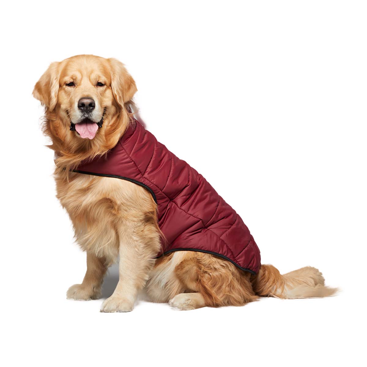 beboji Maroon Jacket for Dogs - 4XL