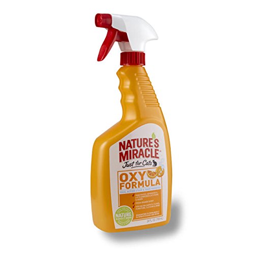 Nature's Miracle Orange OXY Stain & Odour Remover Trigger - 709 ml