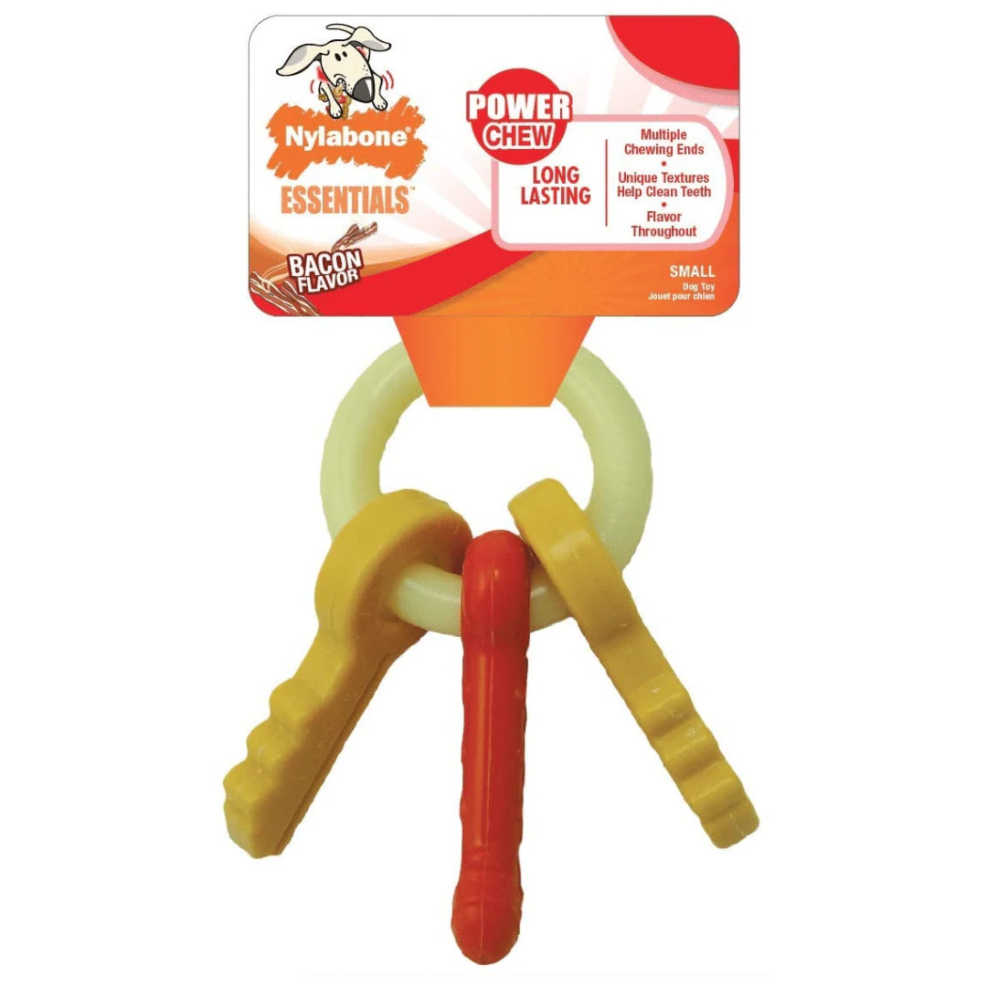 Nylabone Nylon Puppy Keys Chew Toy - Small