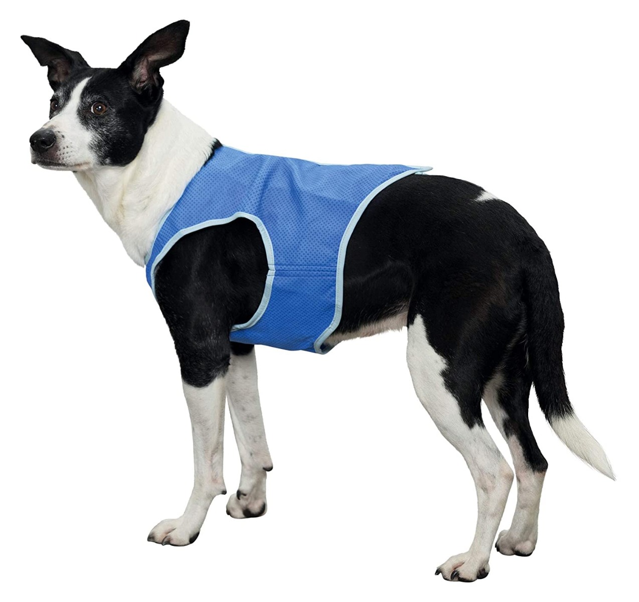 Trixie PVA Cooling Vest For Dog