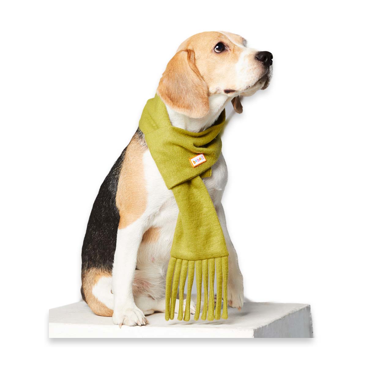 beboji Grassy Green Muffler for Dogs & Cats