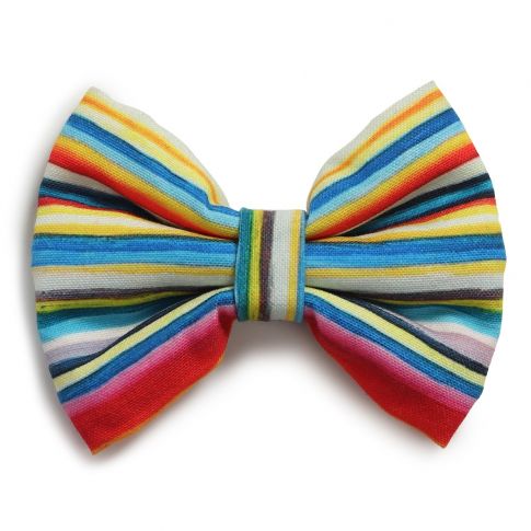 Beboji Stripy Trippy Dog Bow Tie