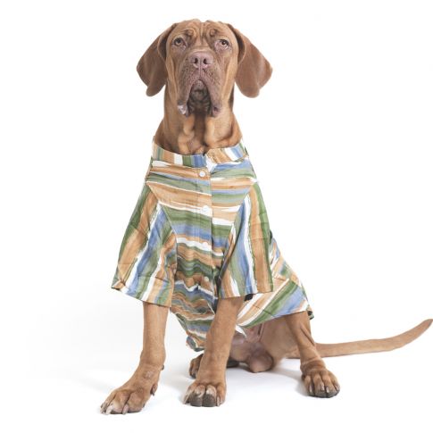 ZL Grassland Stripes Shirt For Dog Days