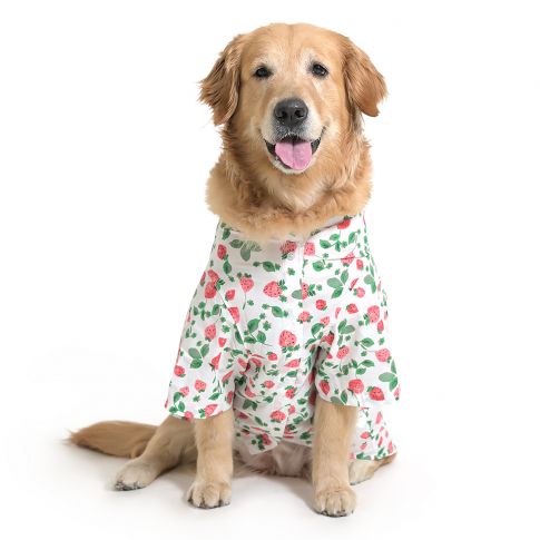 ZL Strawberry Dream Shirt For Dog Days