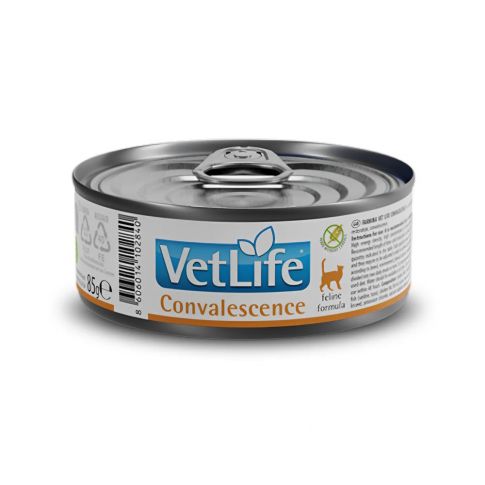 Vet Life Natural Diet Cat Convalescence Wet Food 85 gm