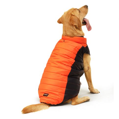 ZL Snowy & Cozy Wintery Dog Jacket