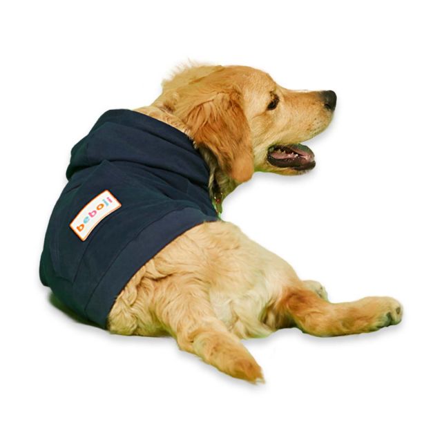 beboji Navy Sweatshirt with Hoodie for Dogs - 2XL
