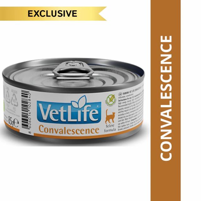 Vet Life Natural Diet Cat Convalesence Wet Food (12 Cans) X 85 Gms - 1.02Kg