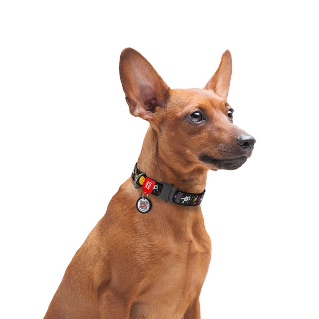 Waudog NASA Pattern Metal Fastex Nylon Dog collar (15 mm) XSmall (23-35 cm)