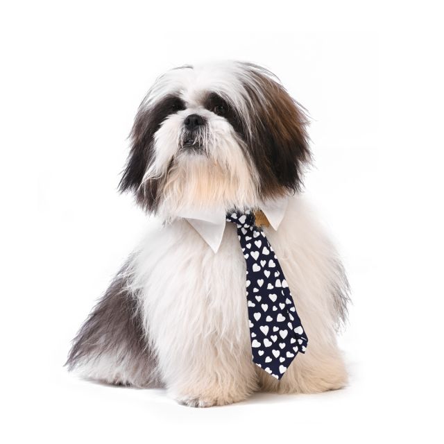 Dog Collar - Adjustable - Design Bow Ties Dog Collar- Easy Fit and Use-  Worthy Dog Design