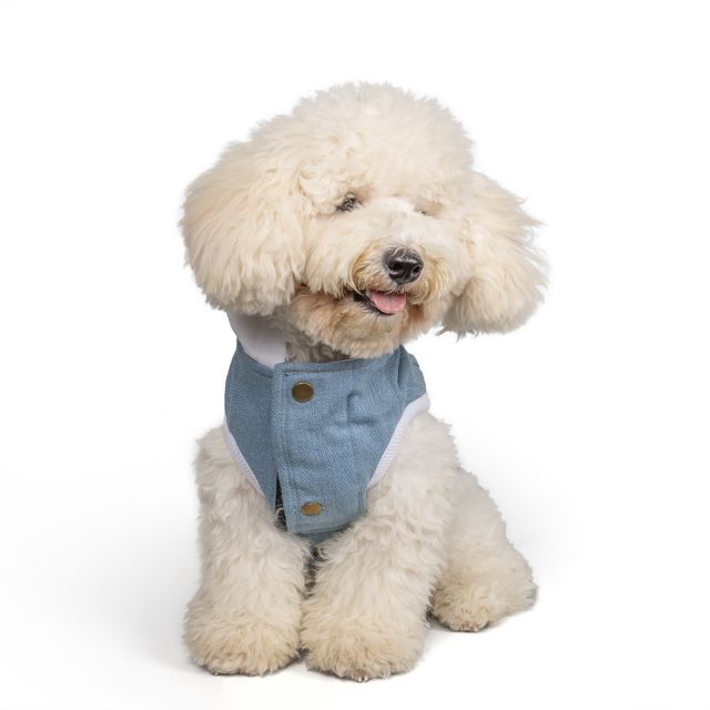 Dogs in online shopping best sale