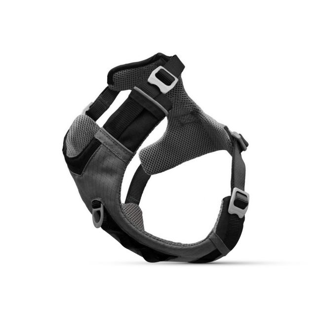 Kurgo Joyful Air Dog Harness-Black-S