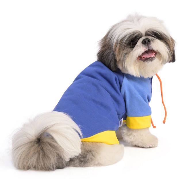 ZL Sandy Vibrant Warmer Hoodie for Dogs-S