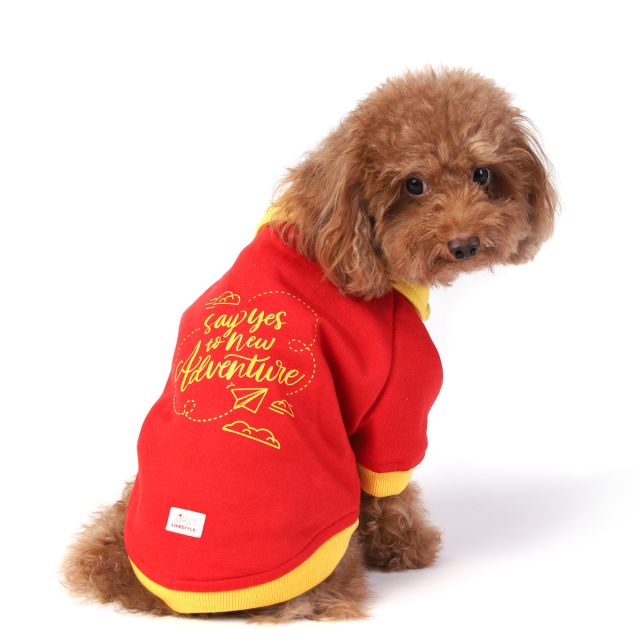 Extra large shop dog sweaters sale