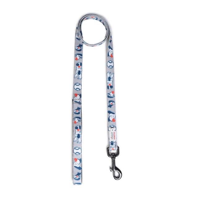 ZL Soft Padded Doodle Dog Leash - Grey