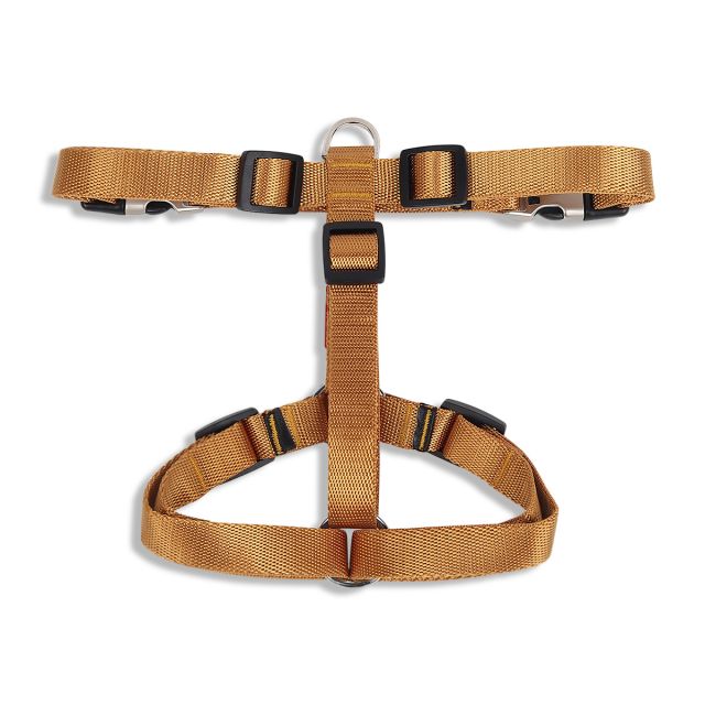 ZL Classic Dog H Harness Gold-M