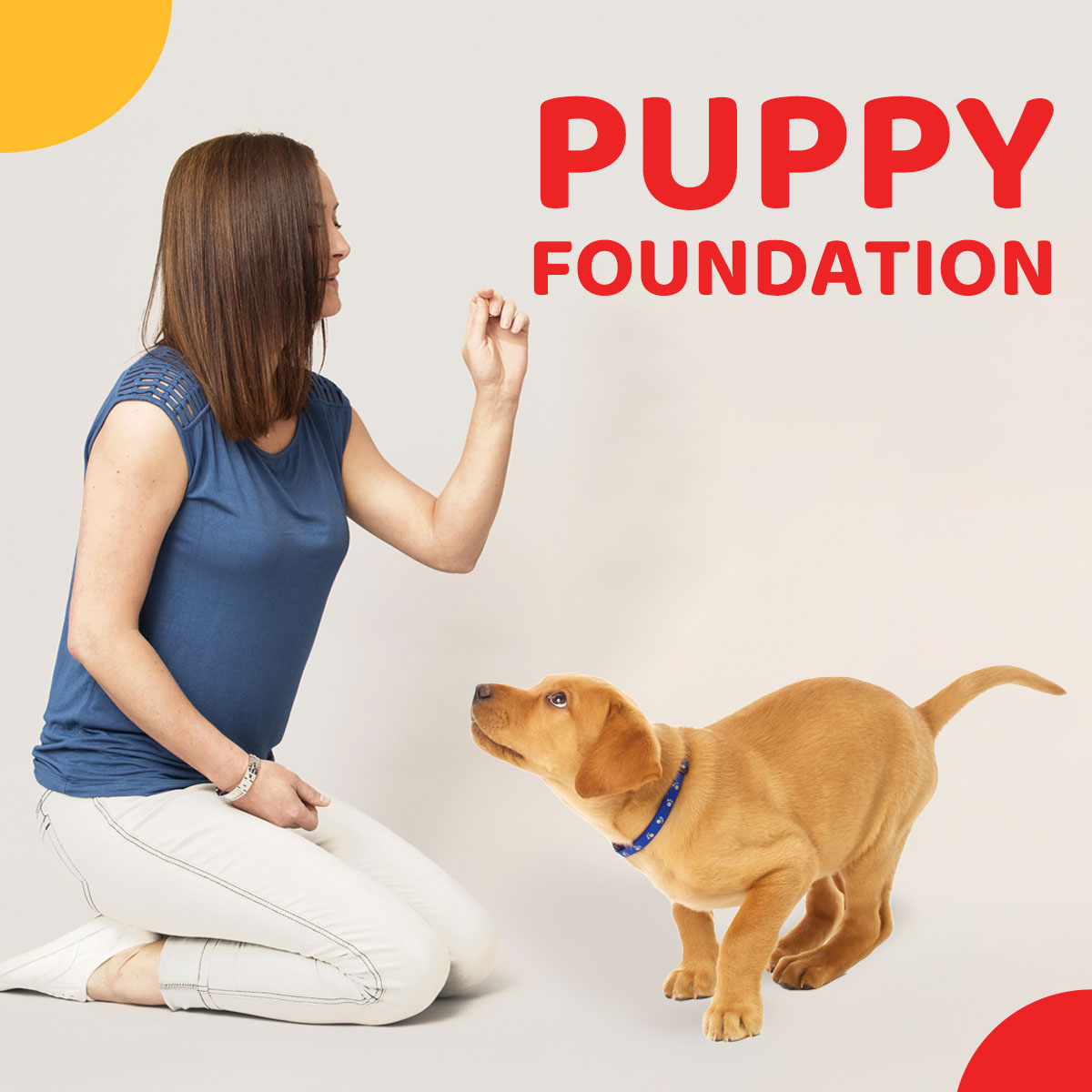 Zigly Puppy Foundation Training Package-9 Sessions