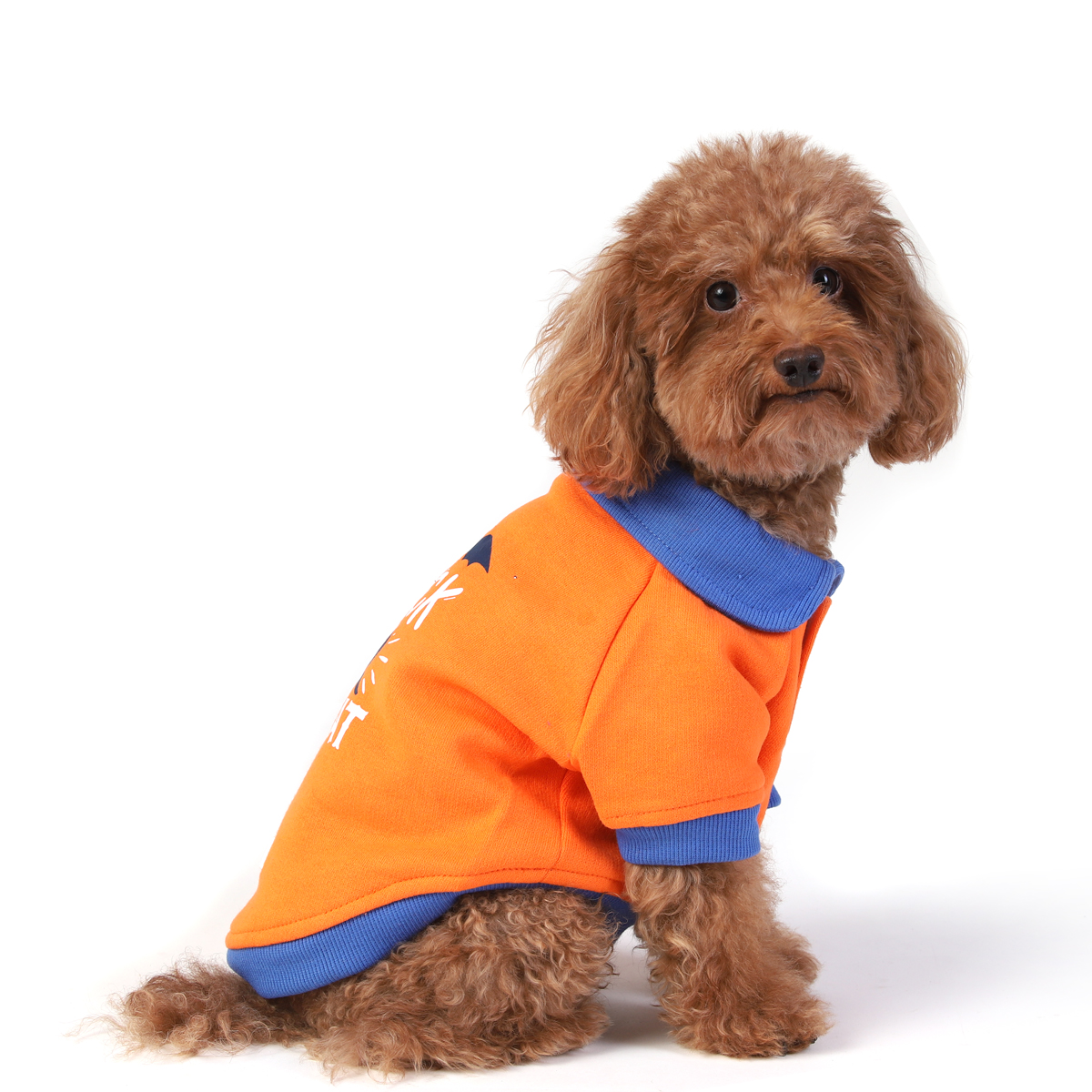 ZL Trick or Treat Sweatshirt For Dogs-S
