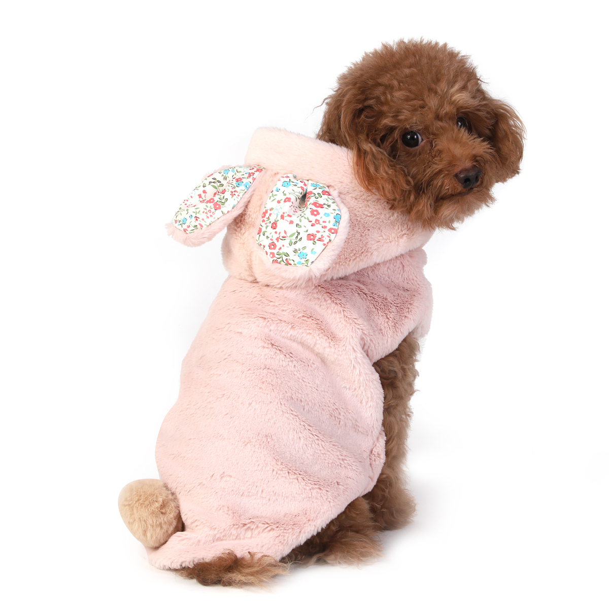 ZL Little Bunny Dog Hoodie