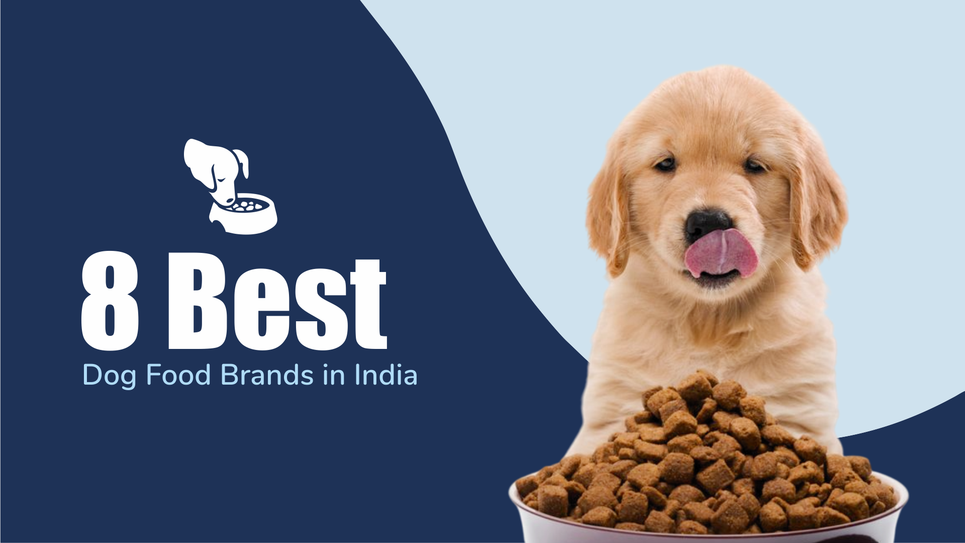 8 Best Dog Food Brands in India