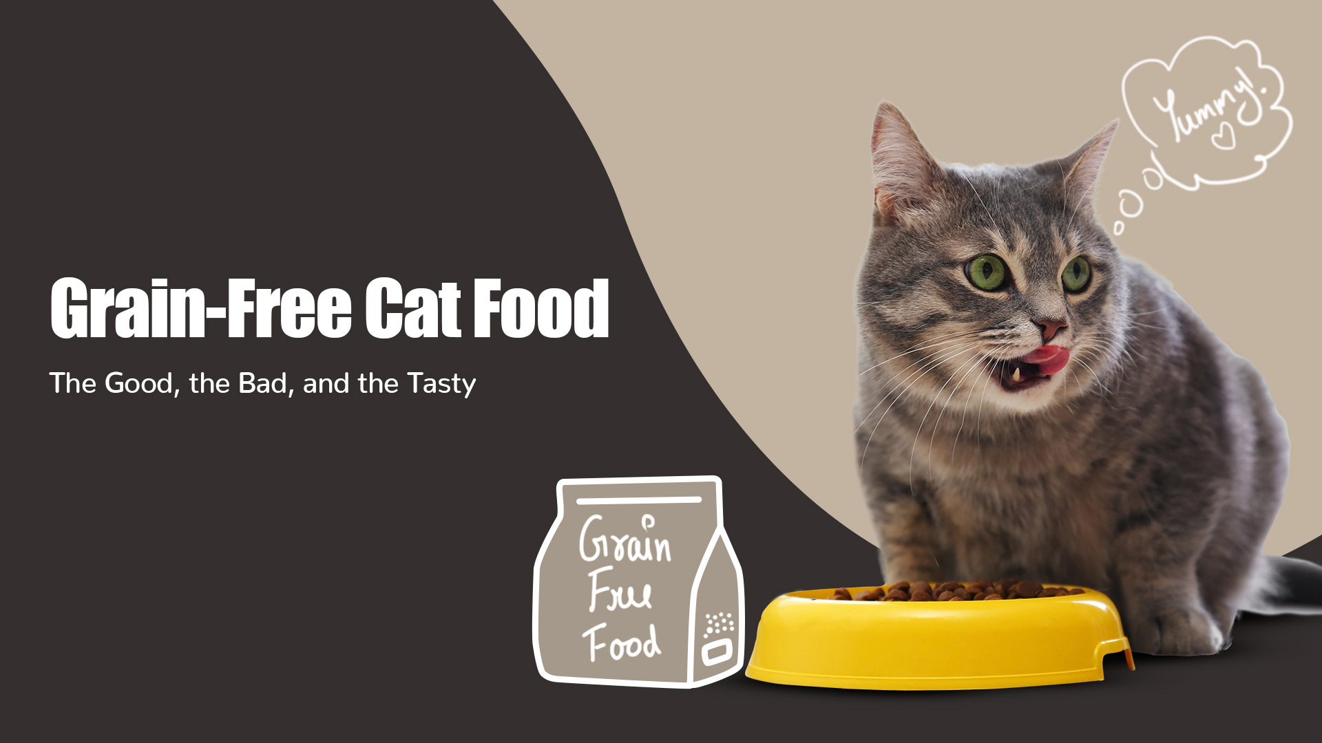 Exploring the Benefits and Drawbacks of Grain-Free Cat Food