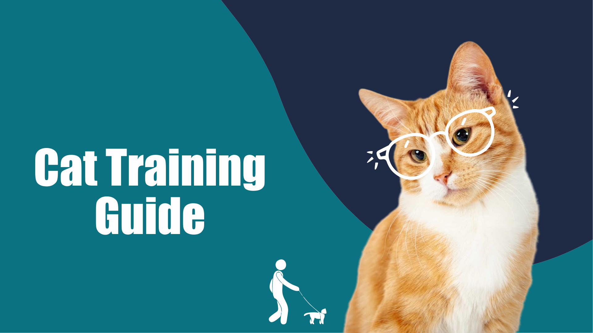 Cat Training Guide