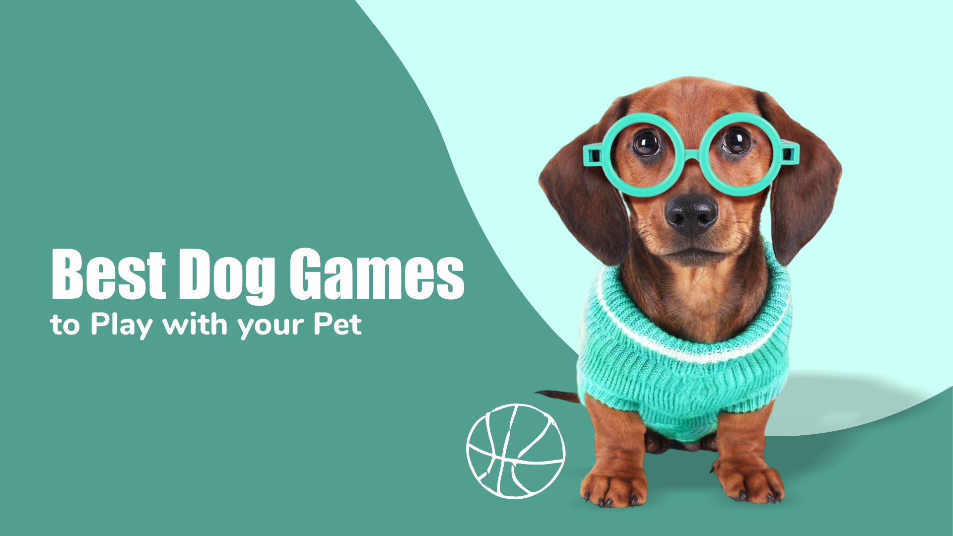 Best Dog Games to Play with Your Pet