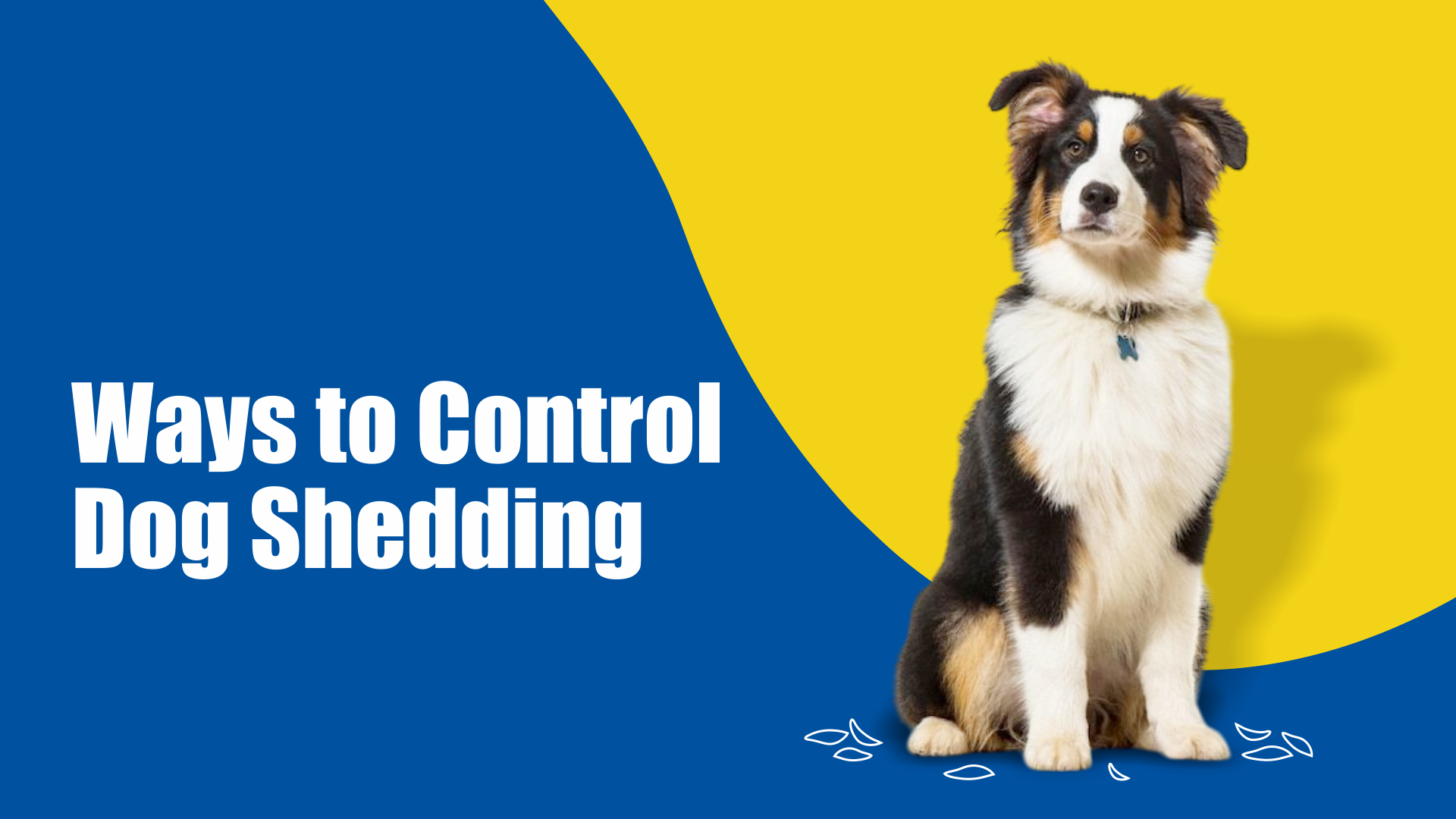 Ways to Control Dog Shedding