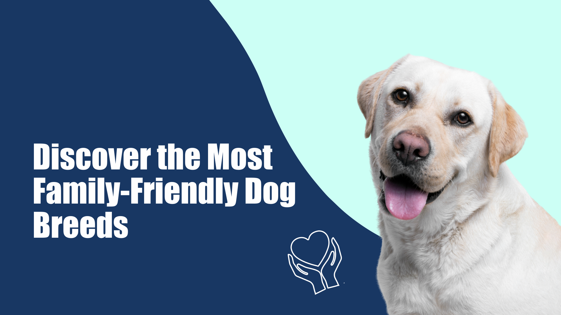 Discover the Most Family-Friendly Dog Breeds 