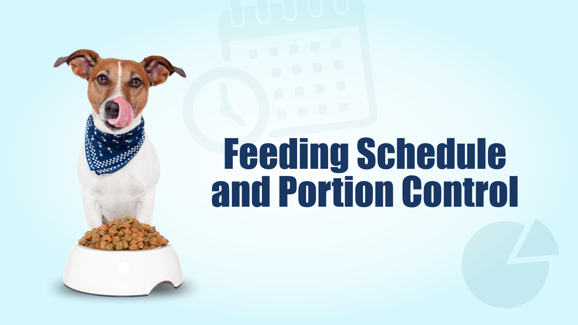 The Beginner's Guide to Puppy Feeding: Best Practices and Tips