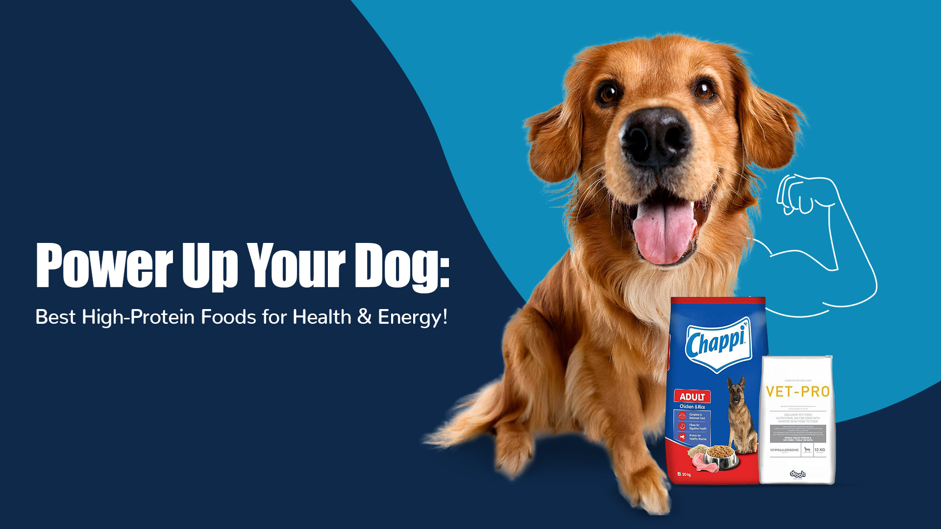 Best High-Protein Dog Food