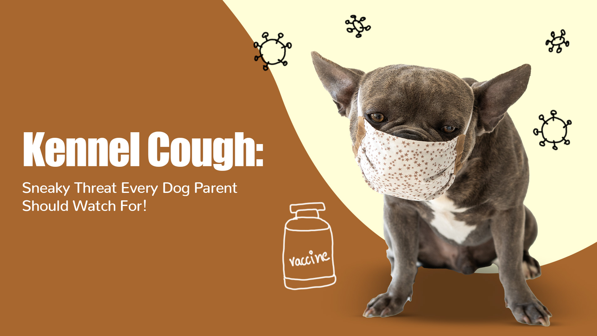 Coughing Up the Truth: Everything You Need to Know About Kennel Cough