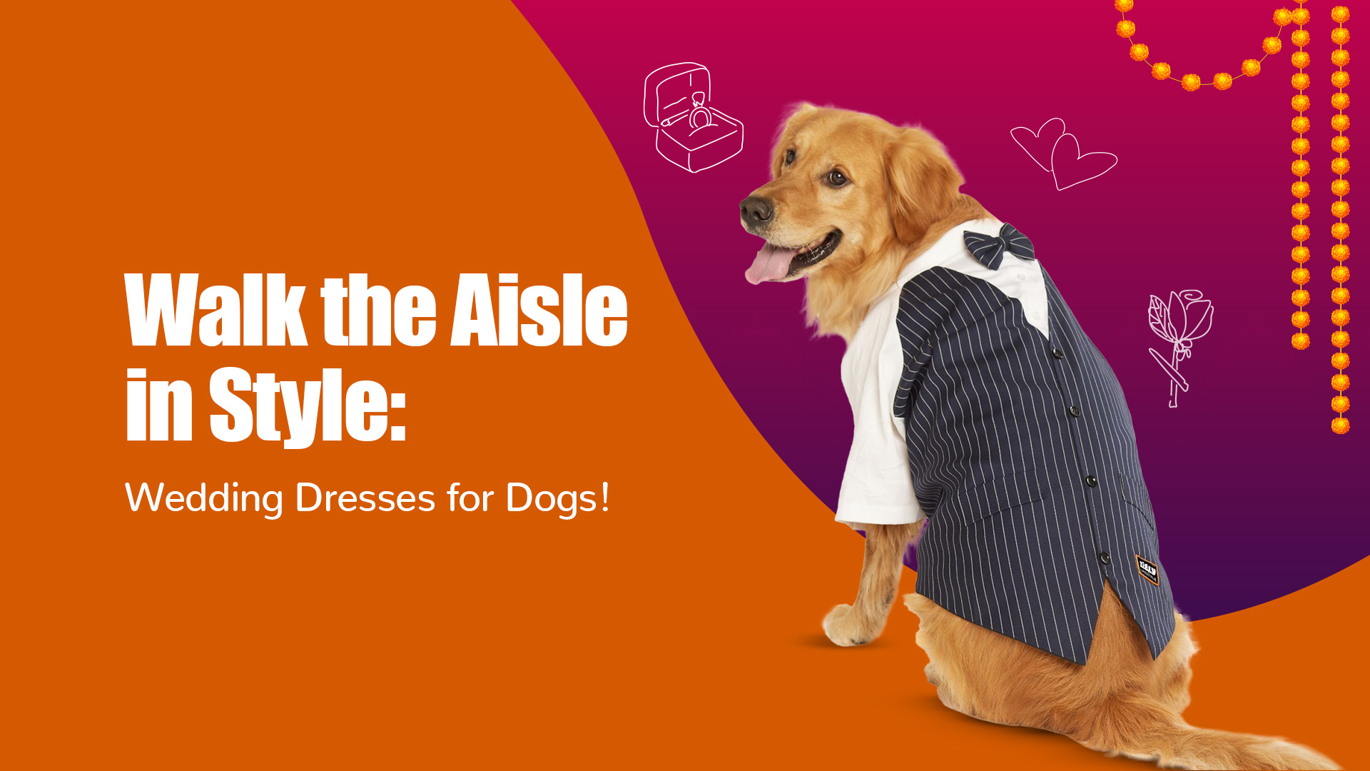 Make Your Dog Shine: Choosing the Perfect Wedding Outfit