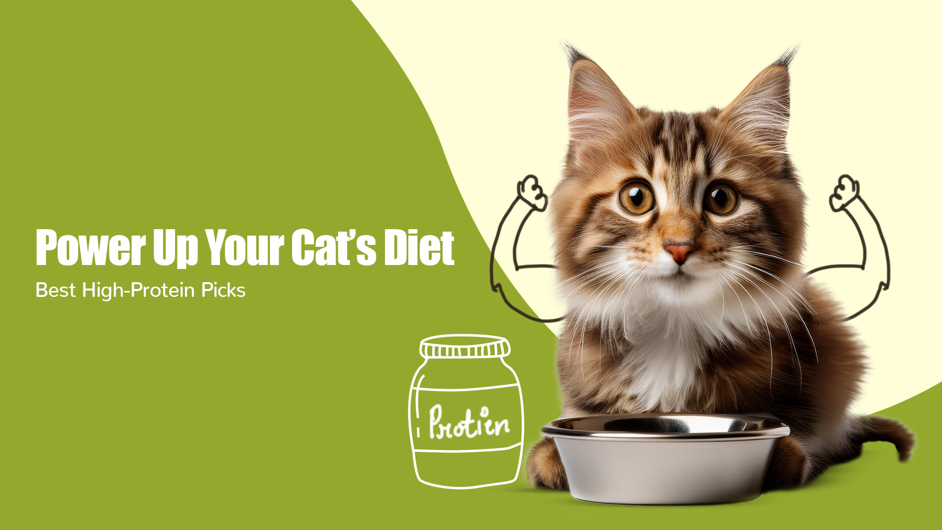 The Protein Powerhouse: Supercharge Your Cat’s Diet with These Top Picks