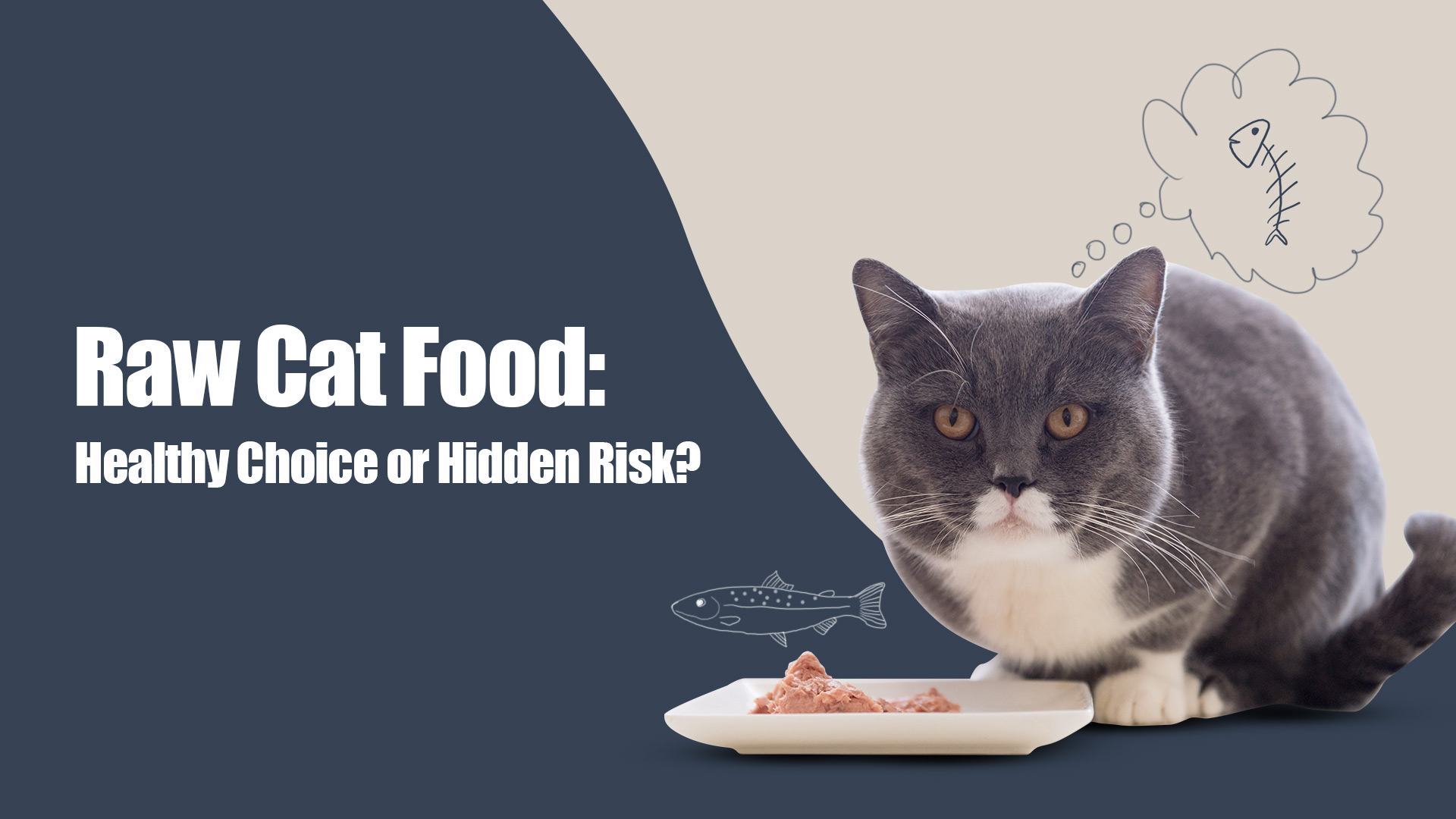 Raw Cat Food: A Healthy Trend or Risky Choice?